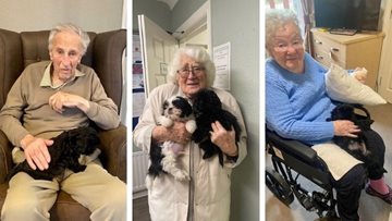 Puppy therapy at Winters Park care home